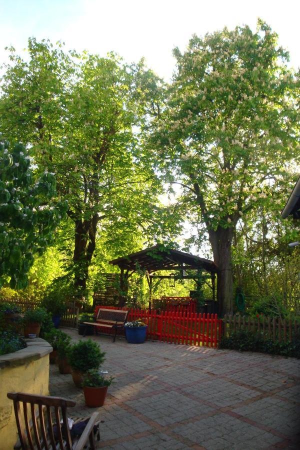 Bischwiller Apartement De Vacances Alsace - Ferienwohnung Elsass - Holiday Apartment Alsace מראה חיצוני תמונה